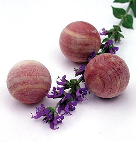 Natural Moth Repellent for Clothes - Jasmine Cedarwood balls - Cedar Wood  Moth Balls
