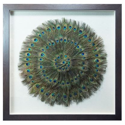 Picture of Peacock Feathers Circle Shadow Box (MS45201) 35.43" L x 35.43" H