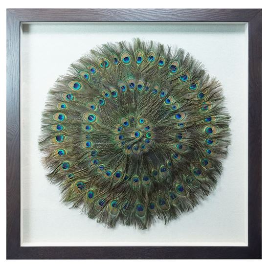 Picture of Peacock Feathers Circle Shadow Box (MS45201) 35.43" L x 35.43" H