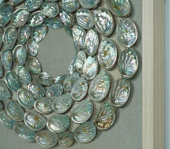 Huji Home Products. Abalone Shell Rings Shadow Box Wall Décor (MS56027 ...