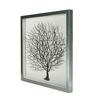 Picture of Silver Tree Roots Shadow Box Wall Décor (MS24299F) 19.69" L x 19.69" H