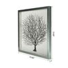 Picture of Silver Tree Roots Shadow Box Wall Décor (MS24299F) 19.69" L x 19.69" H