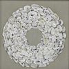 Picture of Oyster Shell Rings Shadow Box Wall Décor (MS30149C) 23.62" x 23.62"