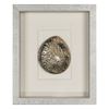 Picture of Yudeco Abalone & Pearl Shell Shadow Box Wall Décor (2 Piece Set) (MS18023C/D) 14.17” L x 14.17” H