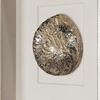 Picture of Yudeco Abalone & Pearl Shell Shadow Box Wall Décor (2 Piece Set) (MS18023C/D) 14.17” L x 14.17” H