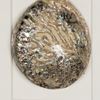 Picture of Yudeco Abalone & Pearl Shell Shadow Box Wall Décor (2 Piece Set) (MS18023C/D) 14.17” L x 14.17” H