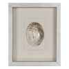 Picture of Yudeco Abalone & Pearl Shell Shadow Box Wall Décor (2 Piece Set) (MS18023C/D) 14.17” L x 14.17” H