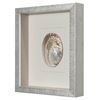 Picture of Yudeco Abalone & Pearl Shell Shadow Box Wall Décor (2 Piece Set) (MS18023C/D) 14.17” L x 14.17” H