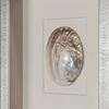 Picture of Yudeco Abalone & Pearl Shell Shadow Box Wall Décor (2 Piece Set) (MS18023C/D) 14.17” L x 14.17” H