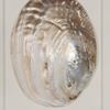 Picture of Yudeco Abalone & Pearl Shell Shadow Box Wall Décor (2 Piece Set) (MS18023C/D) 14.17” L x 14.17” H