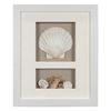 Picture of Sea Shell Beach Shadow Box Wall Décor (2 Piece Set) (MS17376BP/CP) 11.81” L x 11.81” H