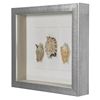 Picture of Sea Shell Shadow Box Wall Décor (2 Piece Set) (MS18027A/B) 11.81” L x 11.81” H