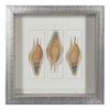 Picture of Sea Shell Shadow Box Wall Décor (2 Piece Set) (MS18027A/B) 11.81” L x 11.81” H