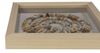 Picture of Sea Shell Rings Shadow Box Wall Décor (2 Piece Set)  (MS47195A/B) 14.17” L x 14.17” H