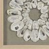 Picture of Sea Shell Rings Shadow Box Wall Décor (2 Piece Set)  (MS47196A/B) 14.17” L x 14.17” H