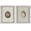 Picture of Yudeco Abalone & Pearl Shell Shadow Box Wall Décor (2 Piece Set) (MS18023C/D) 14.17” L x 14.17” H