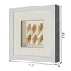 Sea Shell Shadow Box dimensions