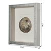 Picture of Yudeco Abalone & Pearl Shell Shadow Box Wall Décor (2 Piece Set) (MS18023C/D) 14.17” L x 14.17” H