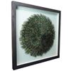 Picture of Peacock Feathers Circle Shadow Box (MS45201) 35.43" L x 35.43" H